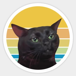 Dissociated Cat Sticker